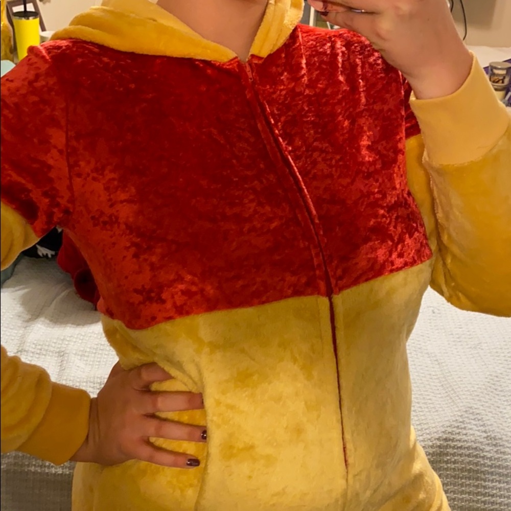 Disney Whinnie the Pooh onsie!